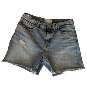 Everlane Blue Jean Shorts